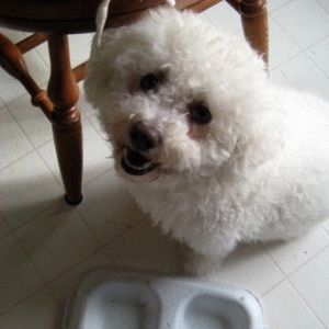 Meet your Posher, Annie